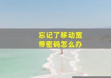 忘记了移动宽带密码怎么办