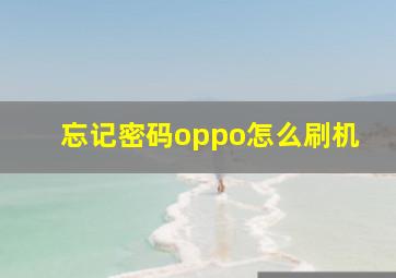 忘记密码oppo怎么刷机