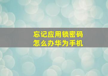 忘记应用锁密码怎么办华为手机