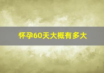 怀孕60天大概有多大