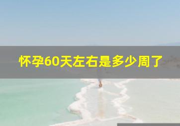 怀孕60天左右是多少周了