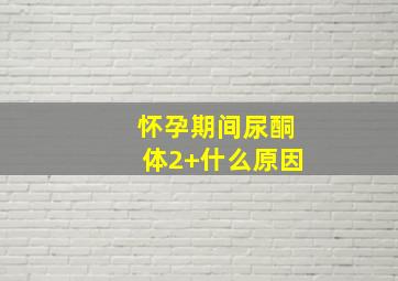 怀孕期间尿酮体2+什么原因