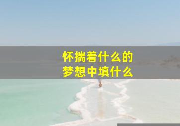 怀揣着什么的梦想中填什么