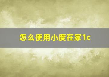 怎么使用小度在家1c