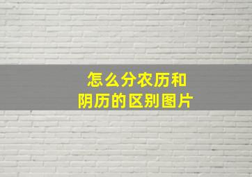 怎么分农历和阴历的区别图片