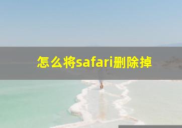 怎么将safari删除掉