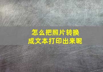 怎么把照片转换成文本打印出来呢