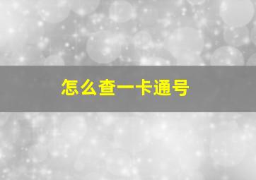 怎么查一卡通号