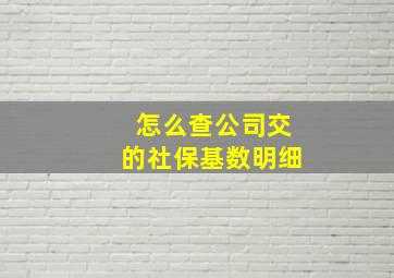 怎么查公司交的社保基数明细