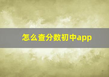 怎么查分数初中app