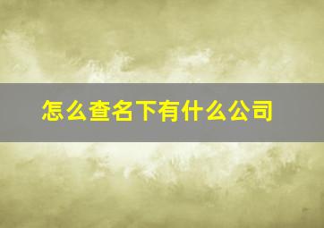 怎么查名下有什么公司