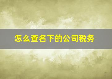 怎么查名下的公司税务