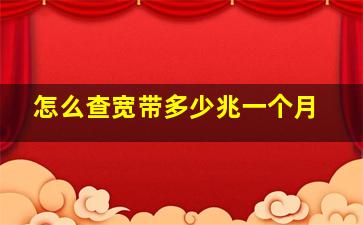 怎么查宽带多少兆一个月