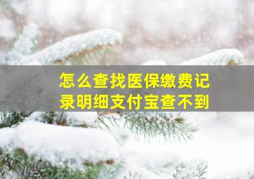 怎么查找医保缴费记录明细支付宝查不到