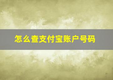 怎么查支付宝账户号码