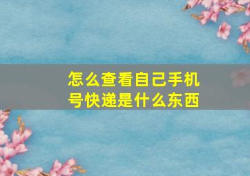 怎么查看自己手机号快递是什么东西