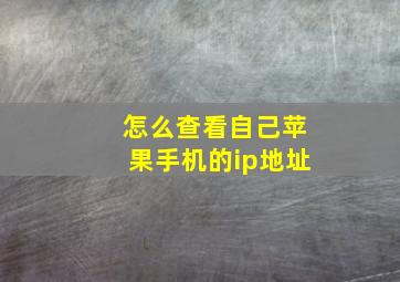 怎么查看自己苹果手机的ip地址