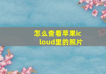 怎么查看苹果icloud里的照片