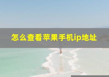 怎么查看苹果手机ip地址