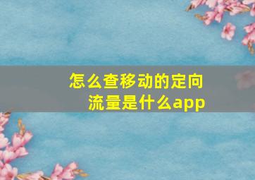 怎么查移动的定向流量是什么app