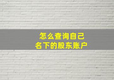 怎么查询自己名下的股东账户