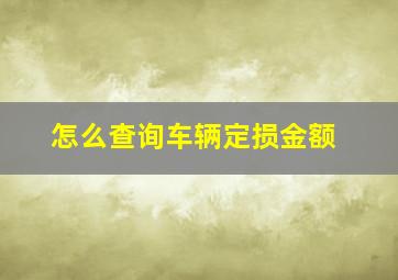 怎么查询车辆定损金额