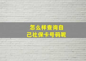 怎么样查询自己社保卡号码呢