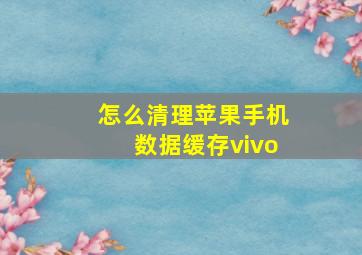 怎么清理苹果手机数据缓存vivo