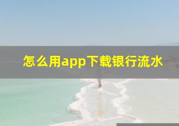 怎么用app下载银行流水