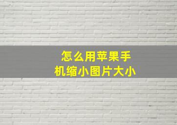 怎么用苹果手机缩小图片大小