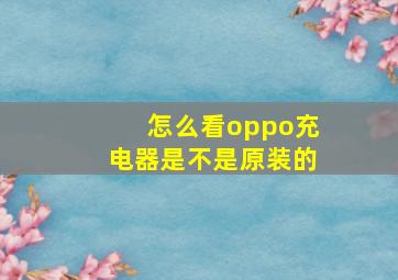 怎么看oppo充电器是不是原装的