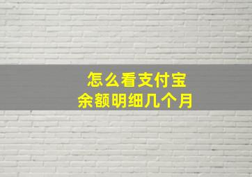 怎么看支付宝余额明细几个月