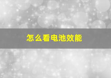 怎么看电池效能