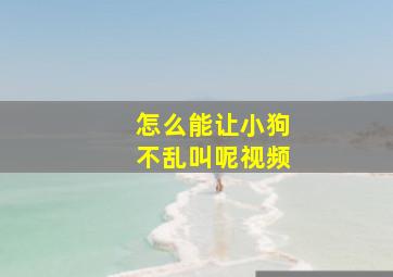 怎么能让小狗不乱叫呢视频