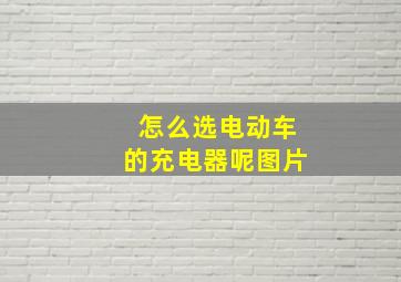 怎么选电动车的充电器呢图片