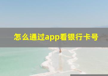 怎么通过app看银行卡号