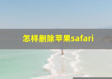 怎样删除苹果safari