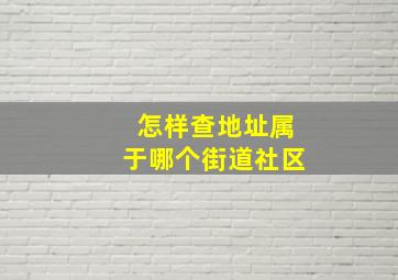 怎样查地址属于哪个街道社区