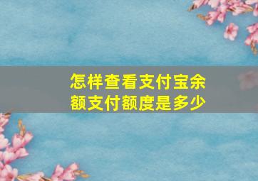 怎样查看支付宝余额支付额度是多少