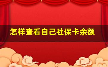 怎样查看自己社保卡余额