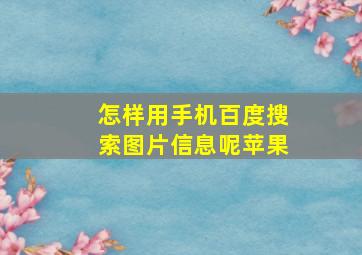 怎样用手机百度搜索图片信息呢苹果