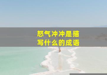 怒气冲冲是描写什么的成语