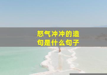 怒气冲冲的造句是什么句子