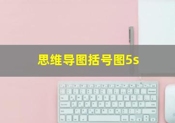 思维导图括号图5s