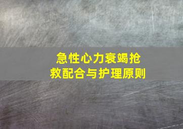 急性心力衰竭抢救配合与护理原则