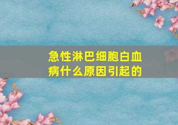 急性淋巴细胞白血病什么原因引起的