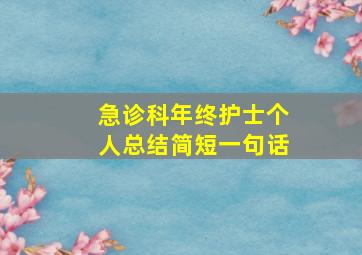 急诊科年终护士个人总结简短一句话