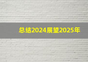 总结2024展望2025年