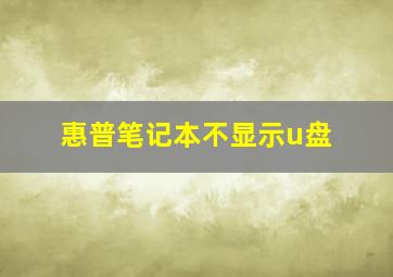 惠普笔记本不显示u盘