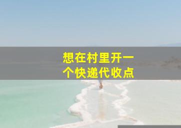 想在村里开一个快递代收点